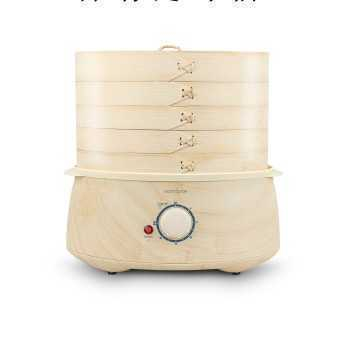 Electric Steamer,Household Electric Steamer,Mini Electric Steamer