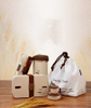 Japanese lunch box microwave lunch box lunch box lunch box gift box set