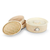 Electric Steamer,Household Electric Steamer,Mini Electric Steamer