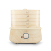 Electric Steamer,Household Electric Steamer,Mini Electric Steamer