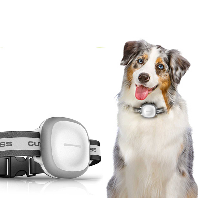 Pet Locator,Pet Locator,tracking Device