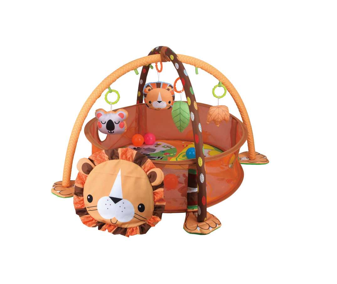 Ocean Ball Pool,Baby Gym,Multifunctional Marine Ball Pool