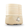 Electric Steamer,Household Electric Steamer,Mini Electric Steamer