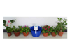 Potted Automatic Watering Device Office Balcony Garden Potted Potted Flowerpot Business Smart Watering Water Pouring Drip Irrigation