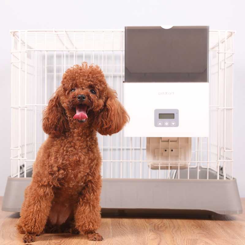 New Pet Automatic Feeder Dog Cat Feeding Machine Cage Hanging Timing Quantitative Automatic Feeding Cat Dog Food