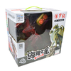 Toy ModelRemote,control Dinosaur Toy,Electric Dinosaur Toy