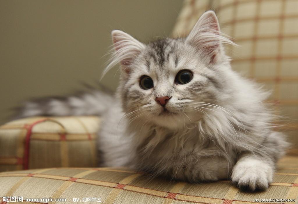 5252423_102152986000_2