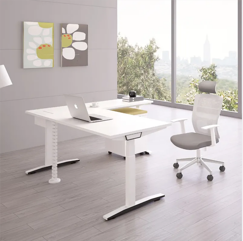 Stand Electric Height Adjustable Standing Desk
