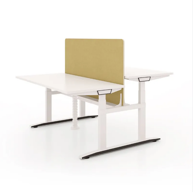 Stand Electric Height Adjustable Standing Desk