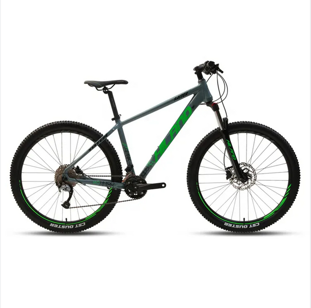 bike carbon steel frame mountainbike