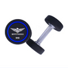Factory Supplying Hebei The Dumbbell
