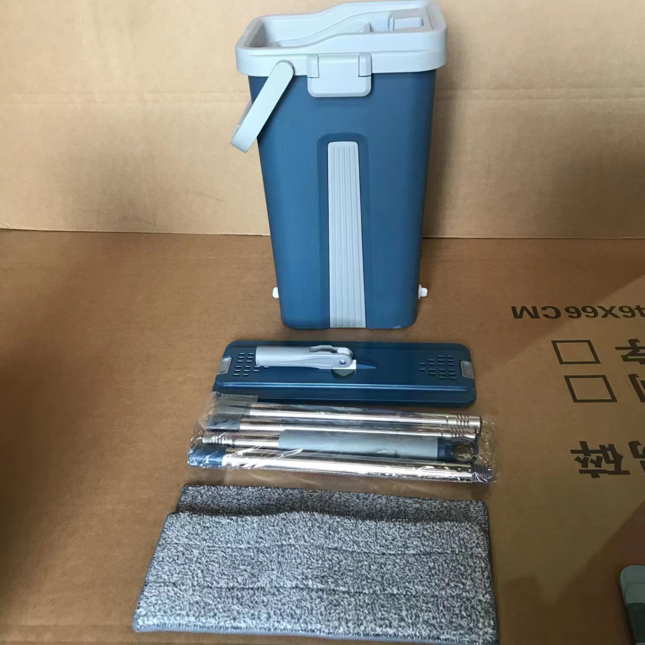 Floor Mop and Bucket